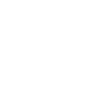 EpicMine